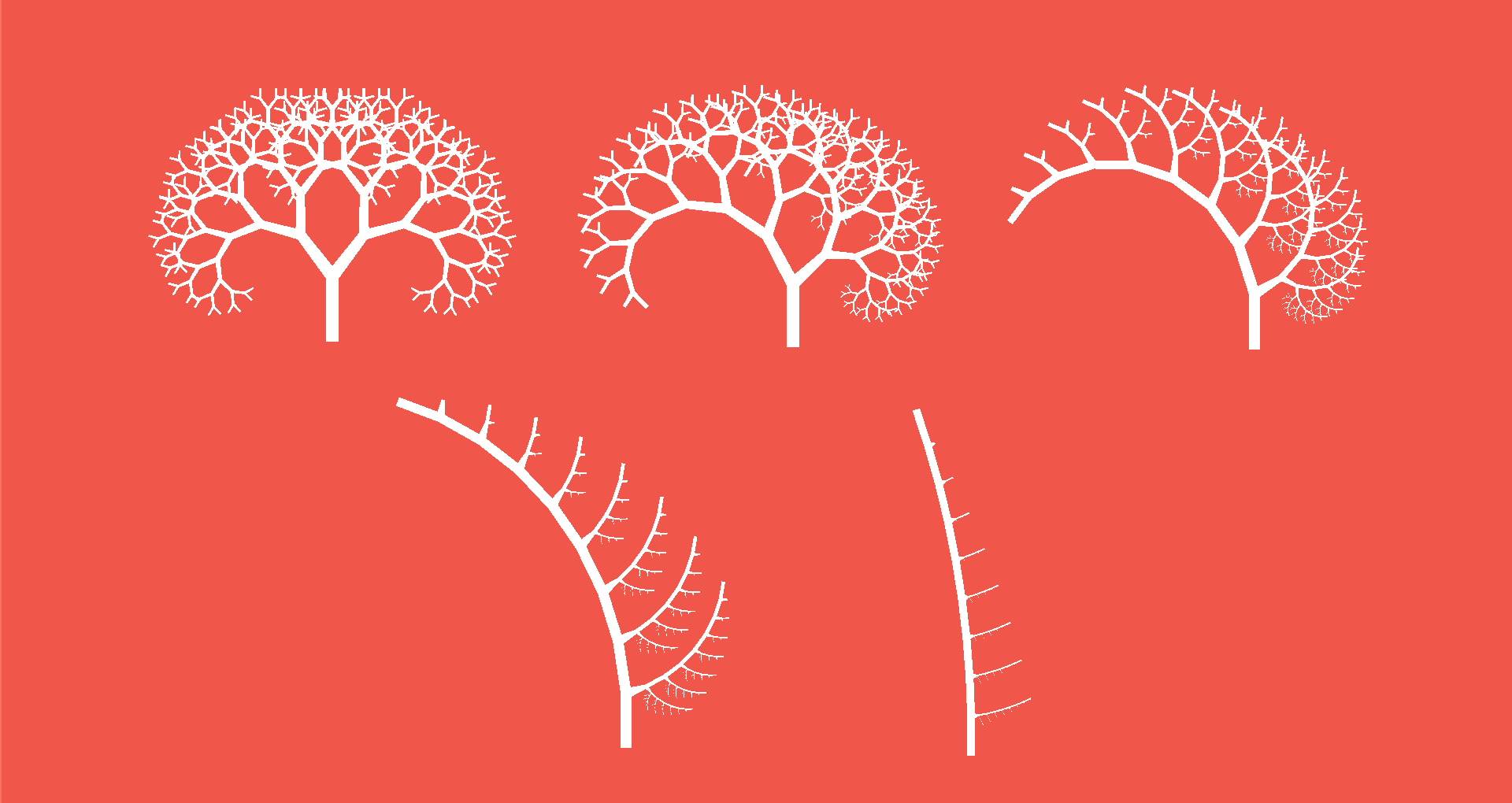 A sequence of fractal blood vessels, generated using Zamir's model.